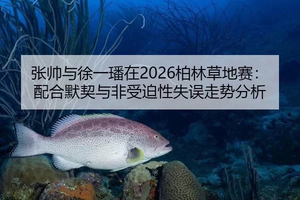 张帅与徐一璠在2026柏林草地赛：配合默契与非受迫性失误走势分析